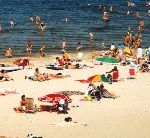 kryncia morska plaża