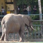Czas nad morze - Zoo Gdańsk Oliwa