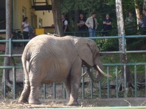 Czas nad morze - Zoo Gdańsk Oliwa