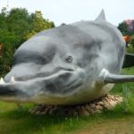 atrakcje Ocean Park Władysławowo