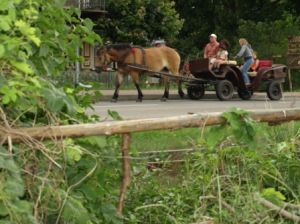 agroturystyka nad morzem