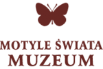 Muzeum Motyli Władysławowo
