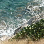 Teneryfa – Wyspy Kanaryjskie – jaka pogoda w listopadzie i grudniu?