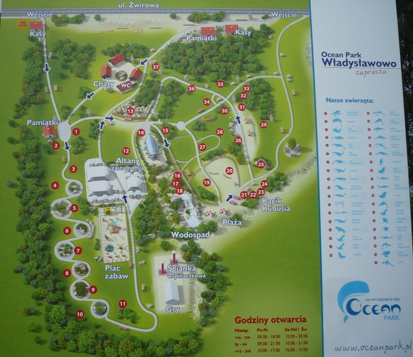 Ocean Park Władysławowo - plan atrakcje, dojazd